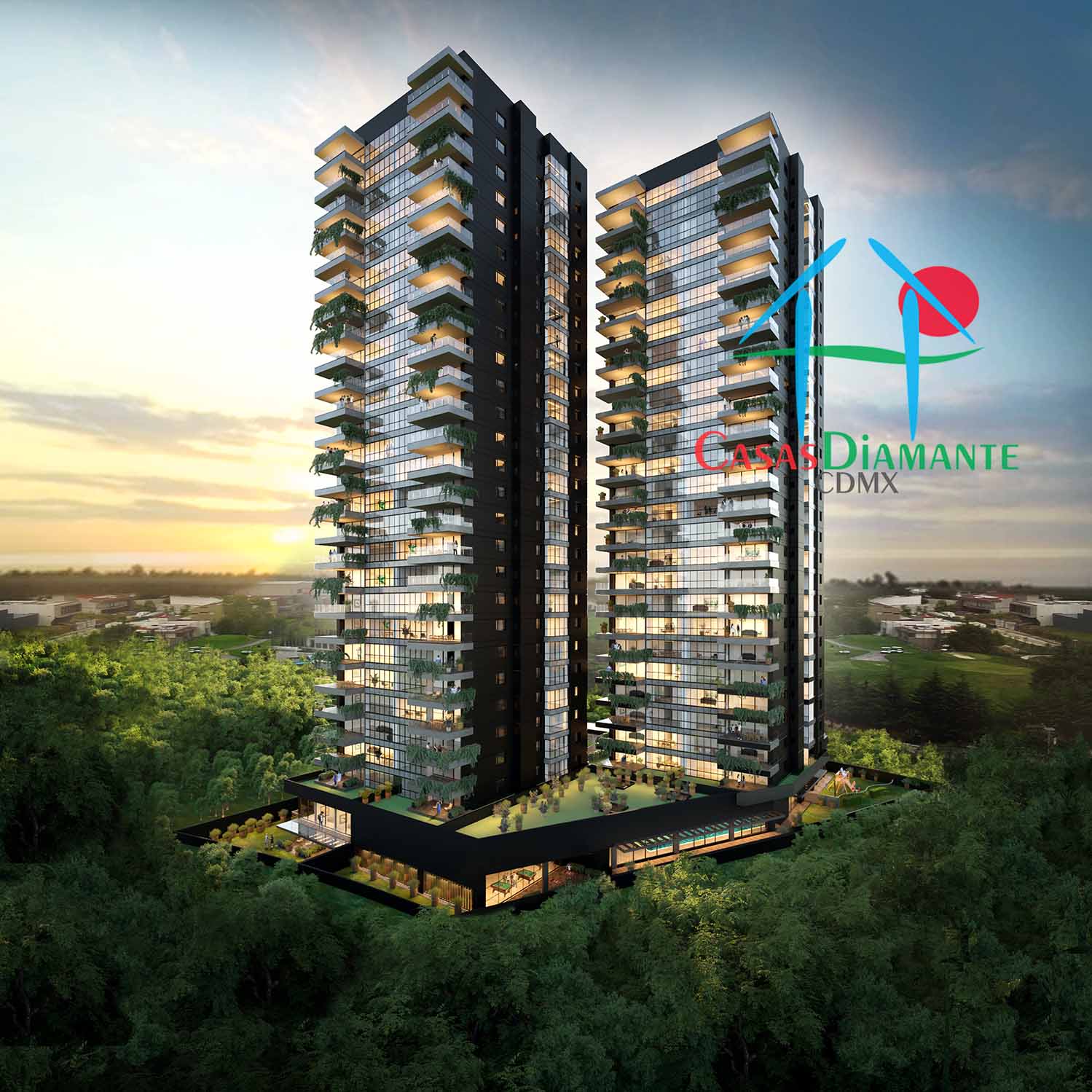 Bosque Real Sky View